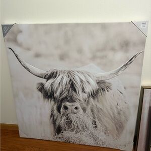 Highland Cow Canvas Wall Art